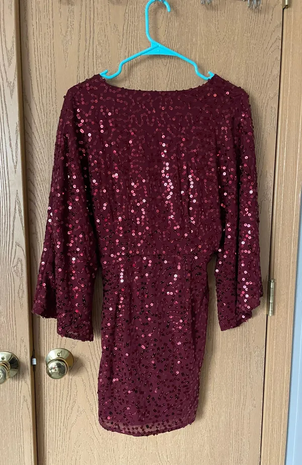 Vici Burgundy Sequin Dress - Image 3