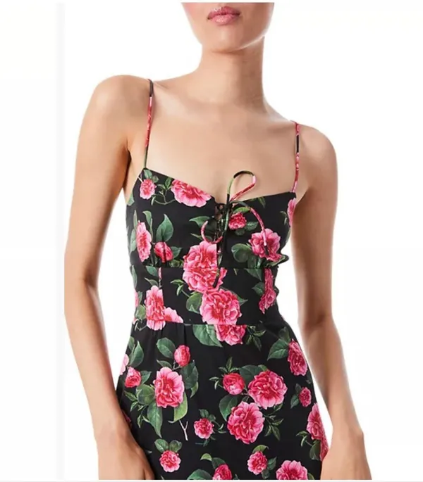 Alice and Olivia Chantay Tiered Sleeveless Maxi Dress size 4 - Image 3