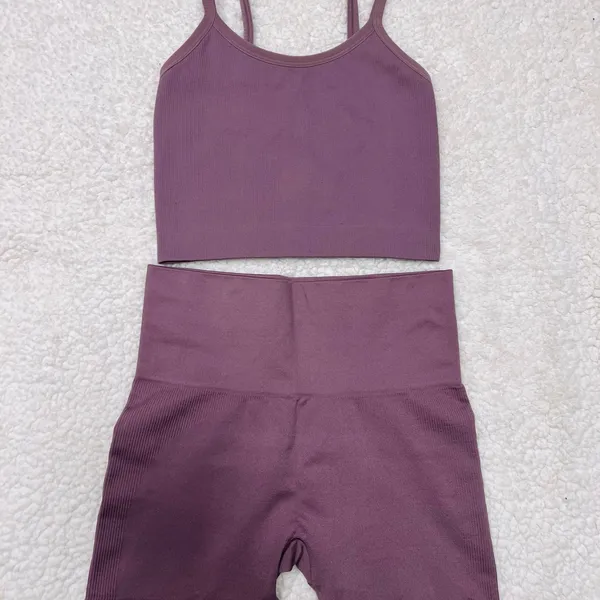 SET Active Mauve Crop Top - Image 3