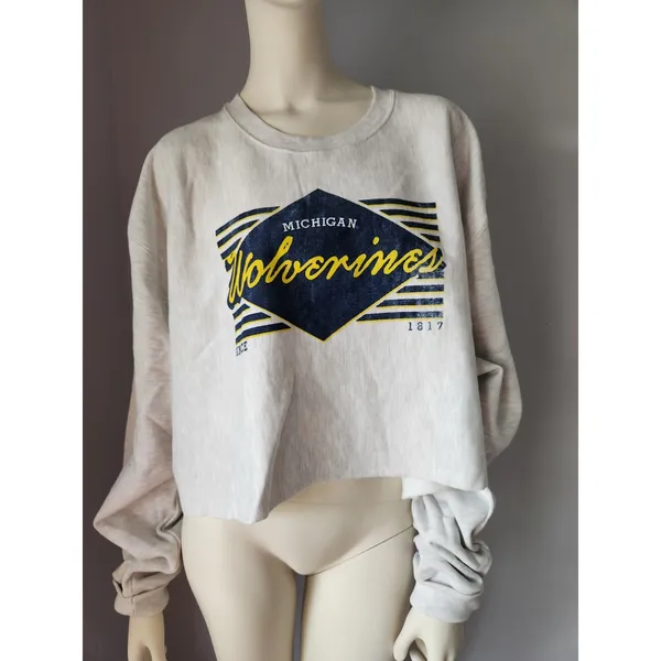 NEW 2XL Champion‎ Michigan Wolverines Reverse Weave Cropped Pullover Sweatshirt - Image 15