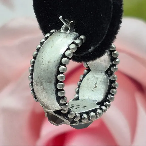 Liz Claiborne Cute Brushed Silver Tone Hoop Earrings Gemstone Accents Western - Image 7