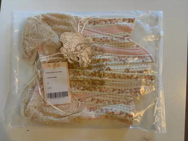 NEW LaceMade Honey Symphony Corset Top Size XS - Image 11