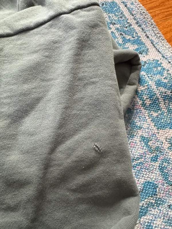 Aerie Sage, green, oversized, heavy duty crewneck - Image 4