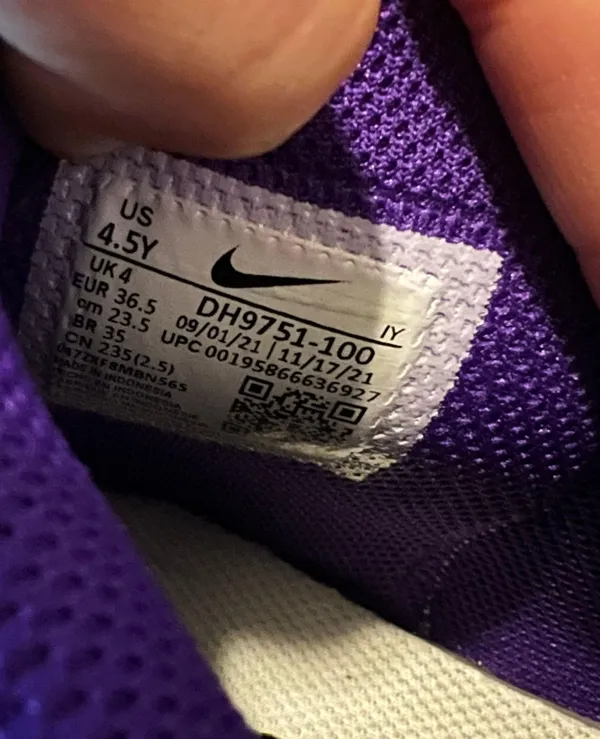 Nike Dunk High - Image 5