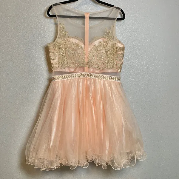 Dancing Queen Pink Rhinestone Embroidered Fairy Balletcore Formal Prom Tule‎ Dress XXL Prom - Image 3