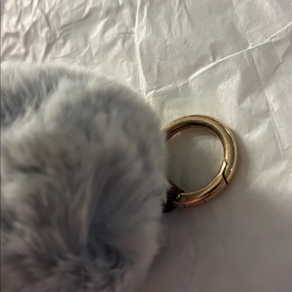 Fluffy Gray Fur animal - Image 6