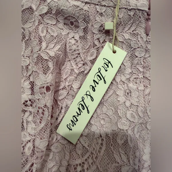 NWT For Love & Lemons Carmela Mini Dress Size Medium Lace - Image 7