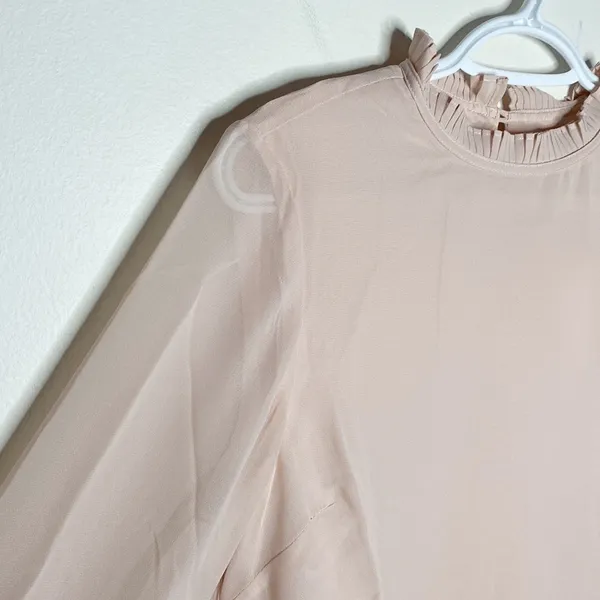 Cupcakes and Cashmere Malina pleated detail chiffon shift dress in tea rose sz S - Image 6