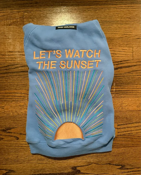Dandy Worldwide Sweatshirt - Image 2