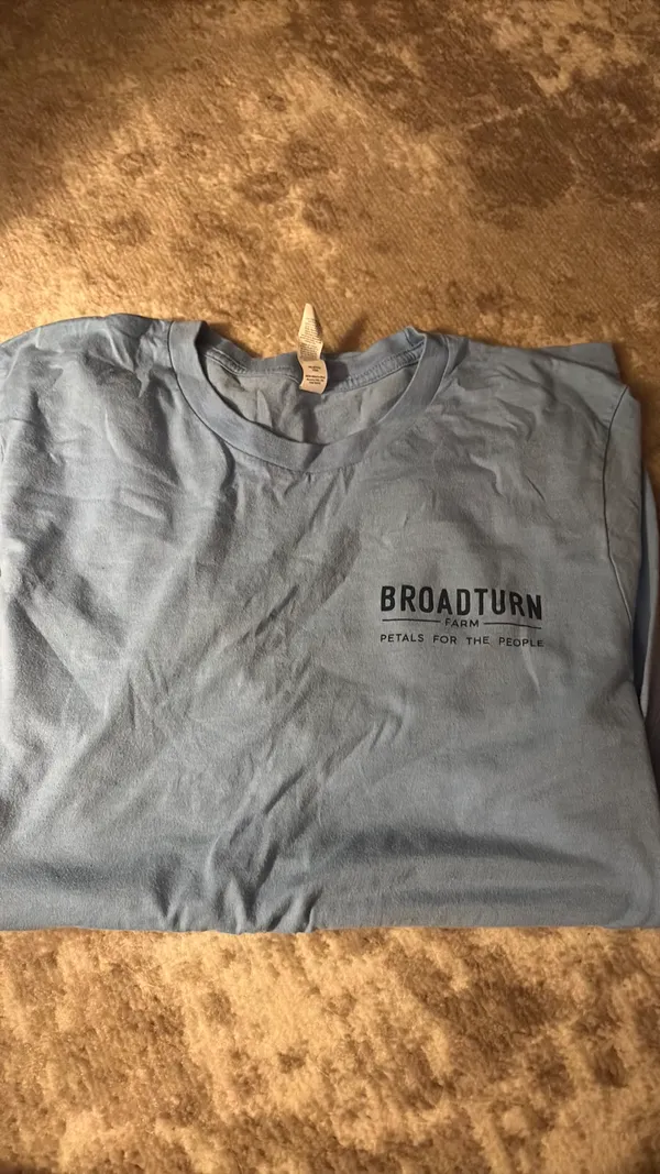 Blue tee Size L - Image 2