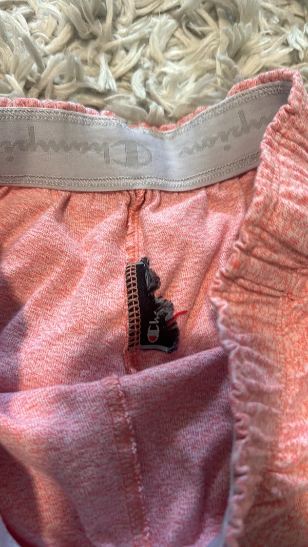 Champion Shorts - Image 3