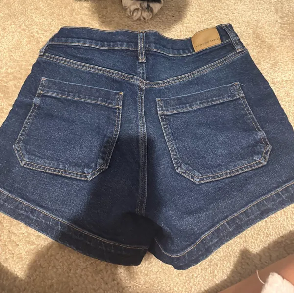 American Eagle Shorts - Image 3