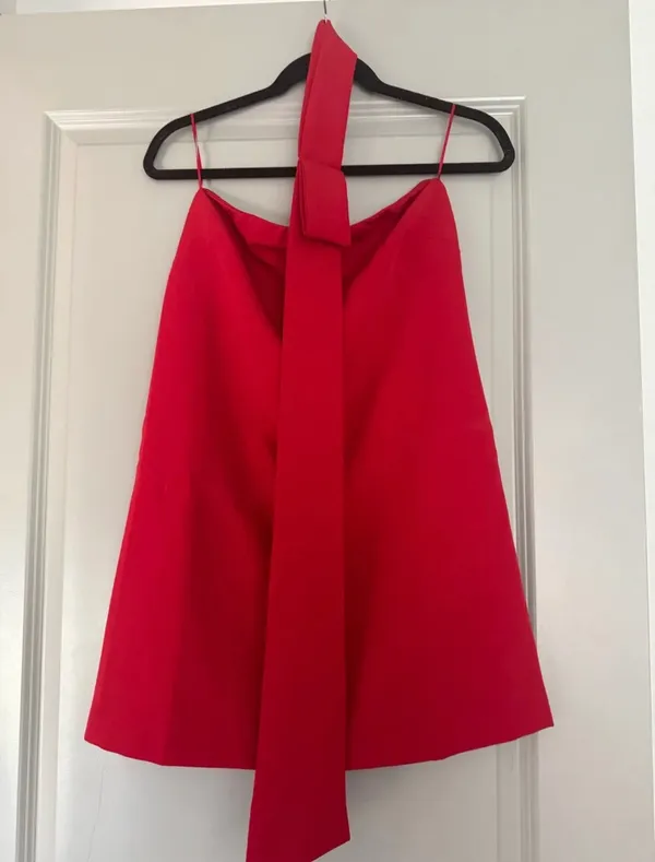Grey Lab Red Mink Dress with Neck Scarf- Anthropologie - Image 5