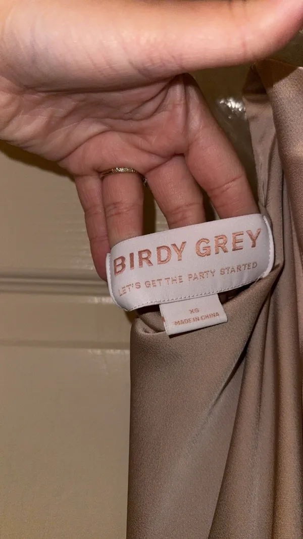 Gold Dress Birdy Grey Satin - Image 5