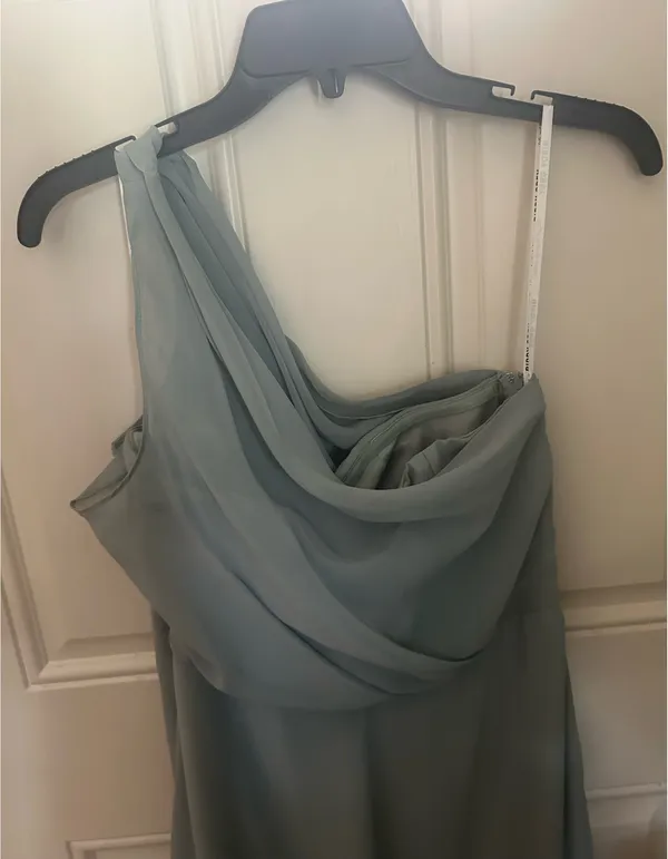 Sage green chiffon Birdy Grey dress - Image 3