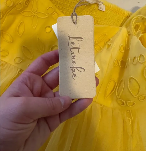 Anthropologie Let Me Be Eyelet Tulle Mini Dress - Image 3
