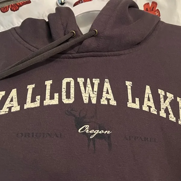 Wallowa lake hoodie-unisex - Image 2