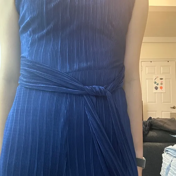 Anthropologie Maeve Blue Sonata pleated jumpsuit - Image 3