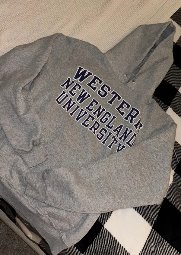 Champion Hoodie - Image 2