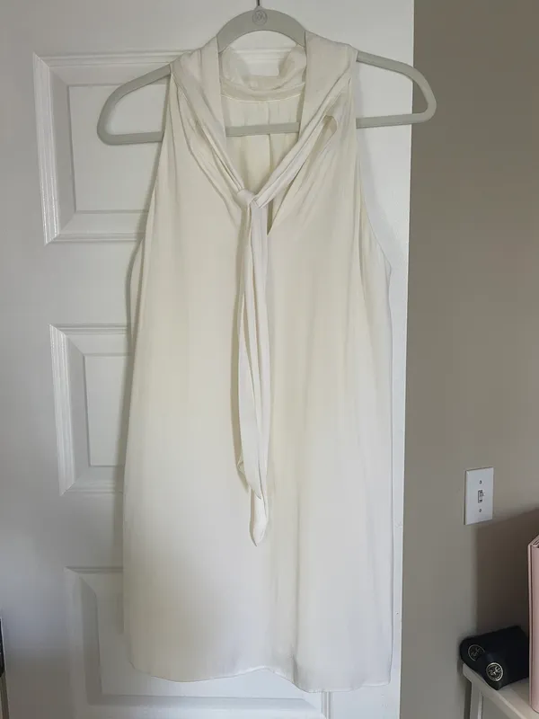 Naked Zebra White Grad / Recruitment Dress - Image 3