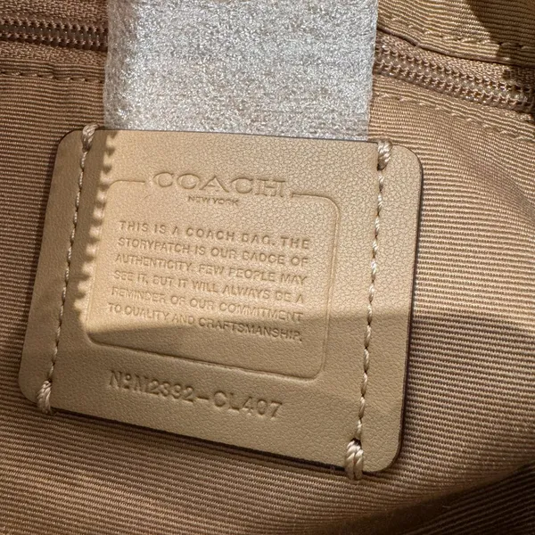 NWT Coach Charlotte Shoulder Bag cl407 with rainbow chain - Image 11