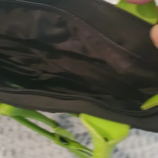 nwot Wake Forest Purse (38) Green - Image 3