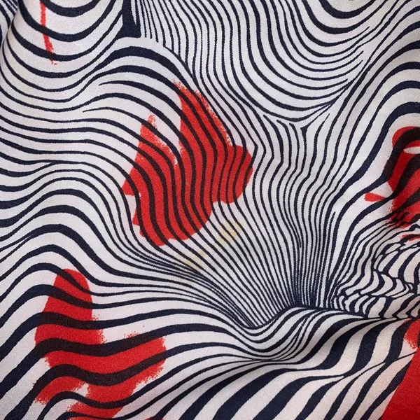 Red‎ Black White Abstract Zebra Stripe Sheer Scarf Lightweight Statement Blue - Image 5
