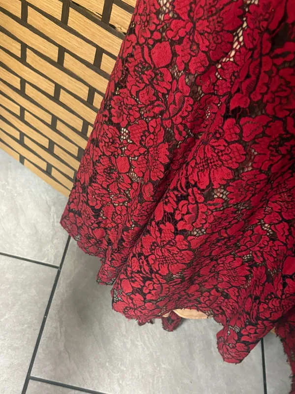 Ellie Wilde mon Cheri red and tan lace gown size 4 - Image 14