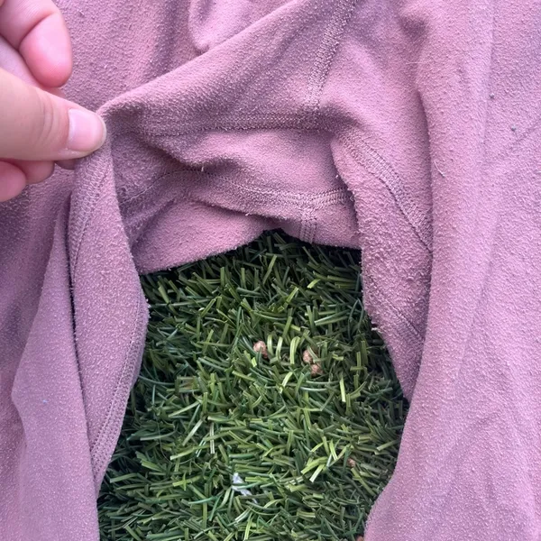 Lululemon Align Leggings 21" - Image 3
