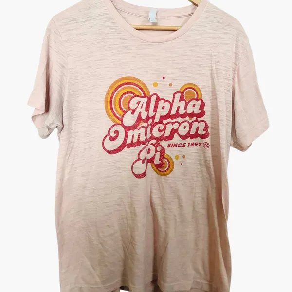 💥 Bella Canvas Alpha Omicron Pi Pink Retro Crewneck Top - Image 2