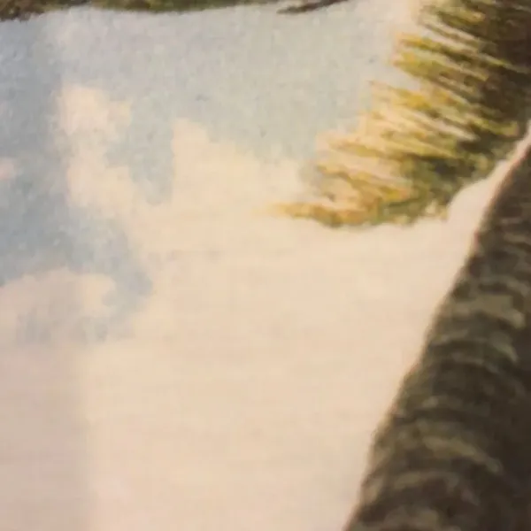 Chrldr “Nevermind” w. Palm Tree White Tank Top - Size S - Image 6
