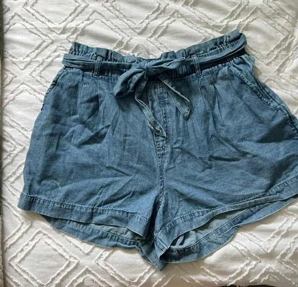 American Eagle Shorts - Image 3