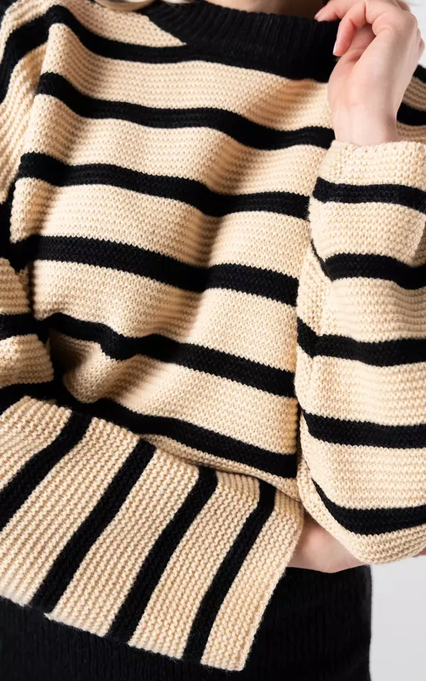 Guts And Gusto Striped Sweater - Image 4
