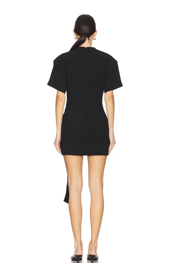 Lioness Dress - Image 4