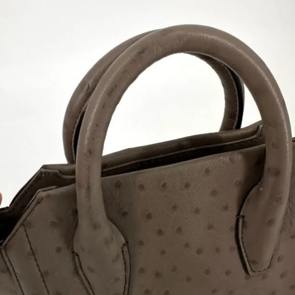 NWT‎ Diane Von Furstenberg Embossed Ostrich Mushroom Satchel Stella mini Bag - Image 3