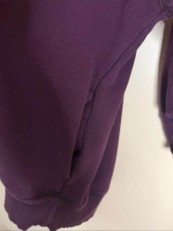 aerie Relaxed Crewneck Sweatshirt in Plum - Image 4