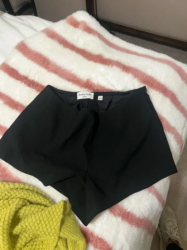 Aritzia van - Image 3