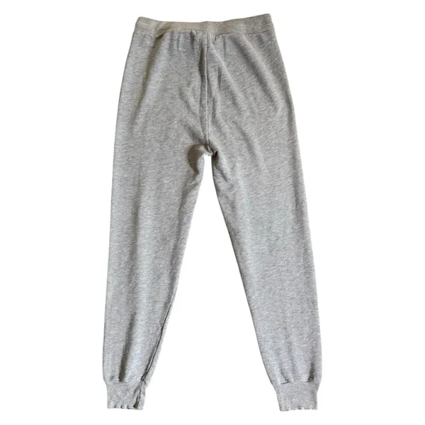 Wildfox Austin Texas Graphic Heather Grey High Rise Sweatpants Joggers Large - Image 3