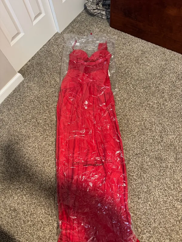 Ladivine CD395 Prom Dress - Image 3