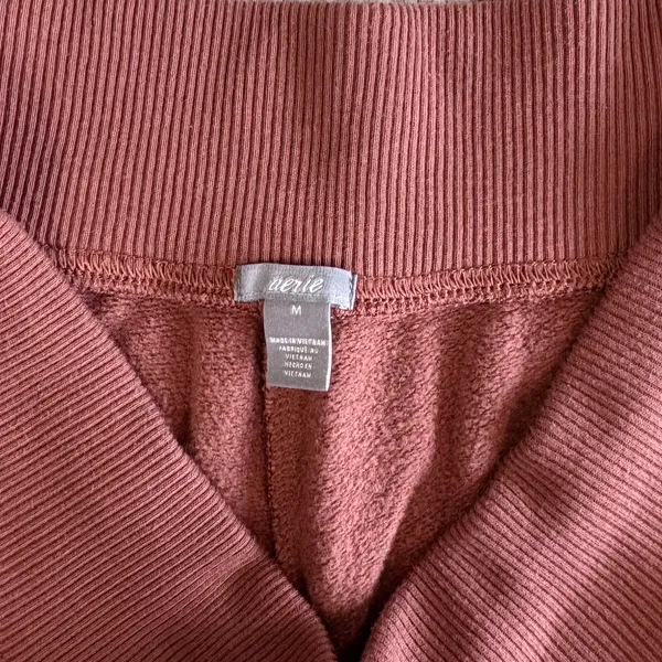 Aerie The Destroyed City Jogger in Brown-Rust Medium - Image 9
