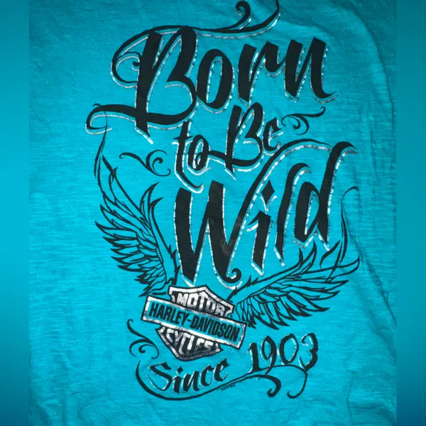 Harley Davidson Born to be Wild Long Sleeve Tee Size Lg Biker Denney’s HD - Image 7