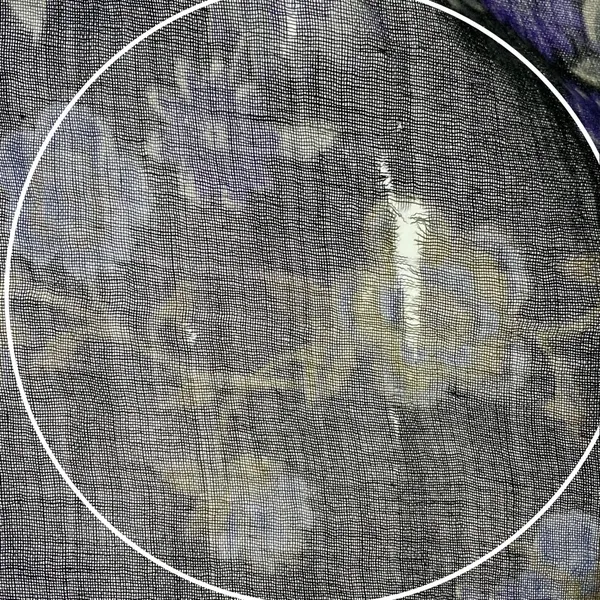 Vivante Scarf Floral Gray Gauzy Viscose Wool‎ FLAWS NWT Raw Edge Fringe Boho - Image 8