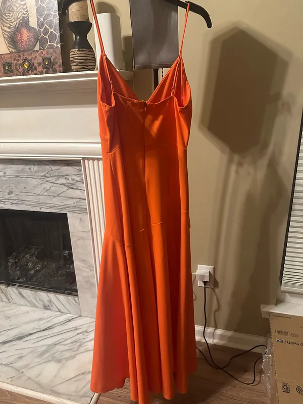 Lizard Thicket Dress maxi  - Image 3