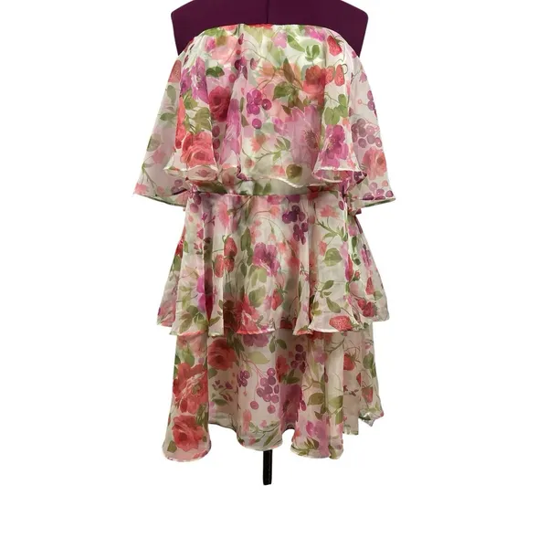 Abercrombie & Fitch Floral Strawberry Sheer Lined Tiered Strapless Dress NWT - Image 5