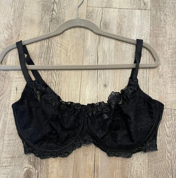 Amazon Wingslove Women's Sexy Lace Bra Plus Size Embroidered Sheer Unpadded Underwire Unlined Bra See Through Bra - Image 3