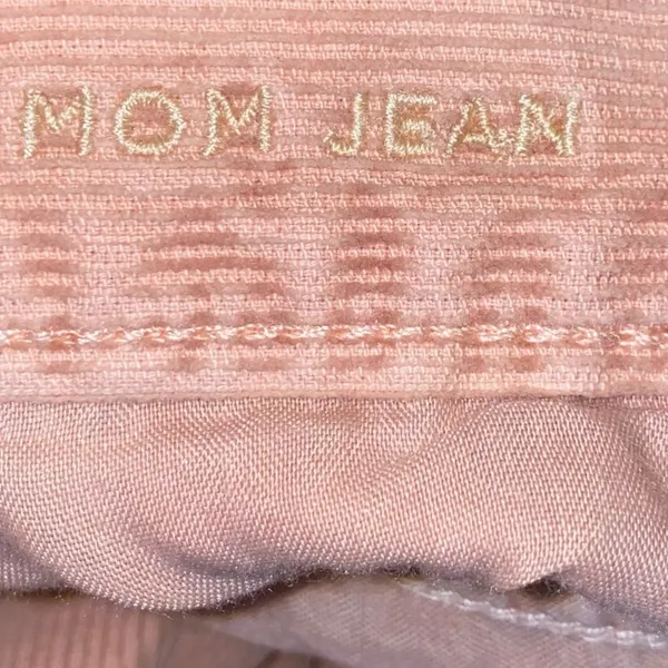 American‎ Eagle Pink Corduroy Mom Jeans High Rise Size 10 Vintage Style - Image 4