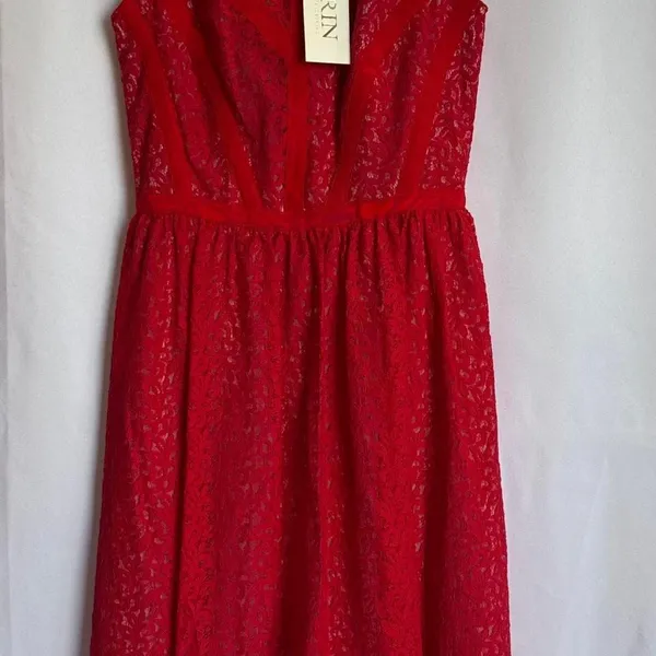 Erin Fetherstone‎ NWT Red Lace Dress with zipper back Women Size 2 - Image 6
