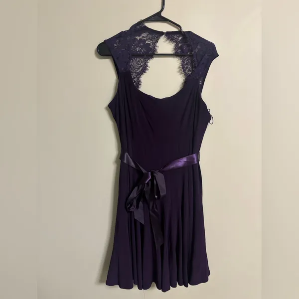 Scarlett Semi Formal Swing Dress Eggplant Purple Size 16 XL New Cocktail Mini - Image 2