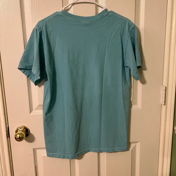 Comfort Colors Southern Paws NOLA Teal Shirt - Image 3
