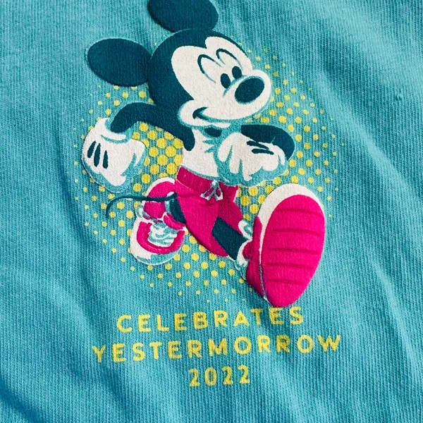 Disney RunDisney 2022 Springtime Surprise Weekend Spirit Jersey Size Small - Image 2